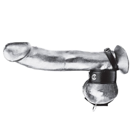 Ремешок для пениса и мошонки BlueLine BLM3055